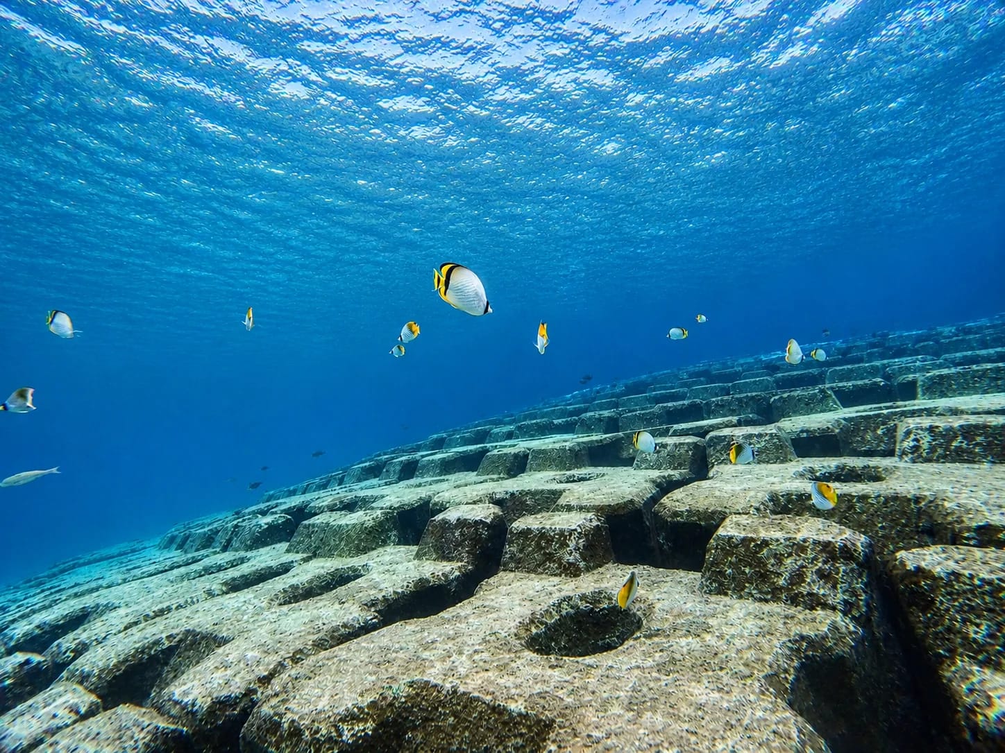透明度の高い宮古島の海を楽しむシュノーケル